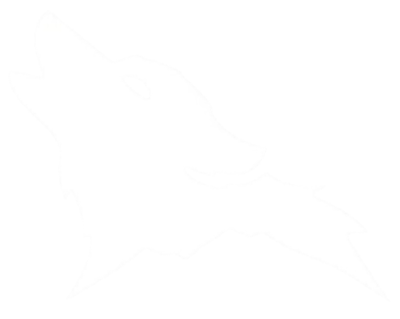 Wolf’s